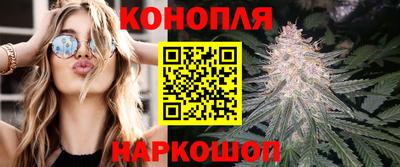 таблы Новокубанск