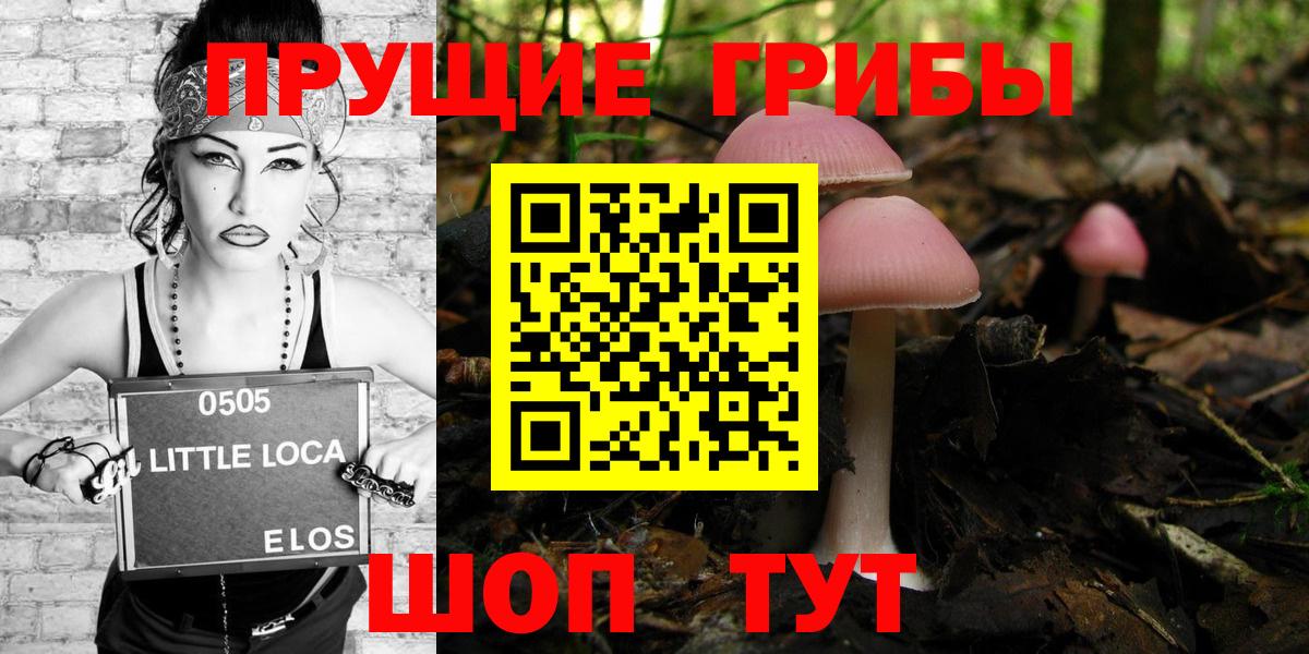 Фурманов  Галлюциногенные грибы MAGIC MUSHROOMS  купить   Вход с VPN 